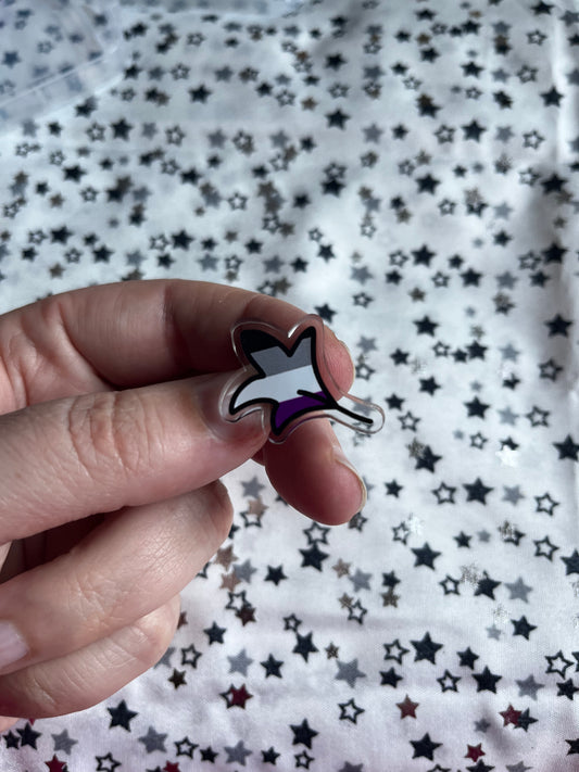 Acrylic Pin | Asexual Flag Pin | 25mm clear acrylic printed pin