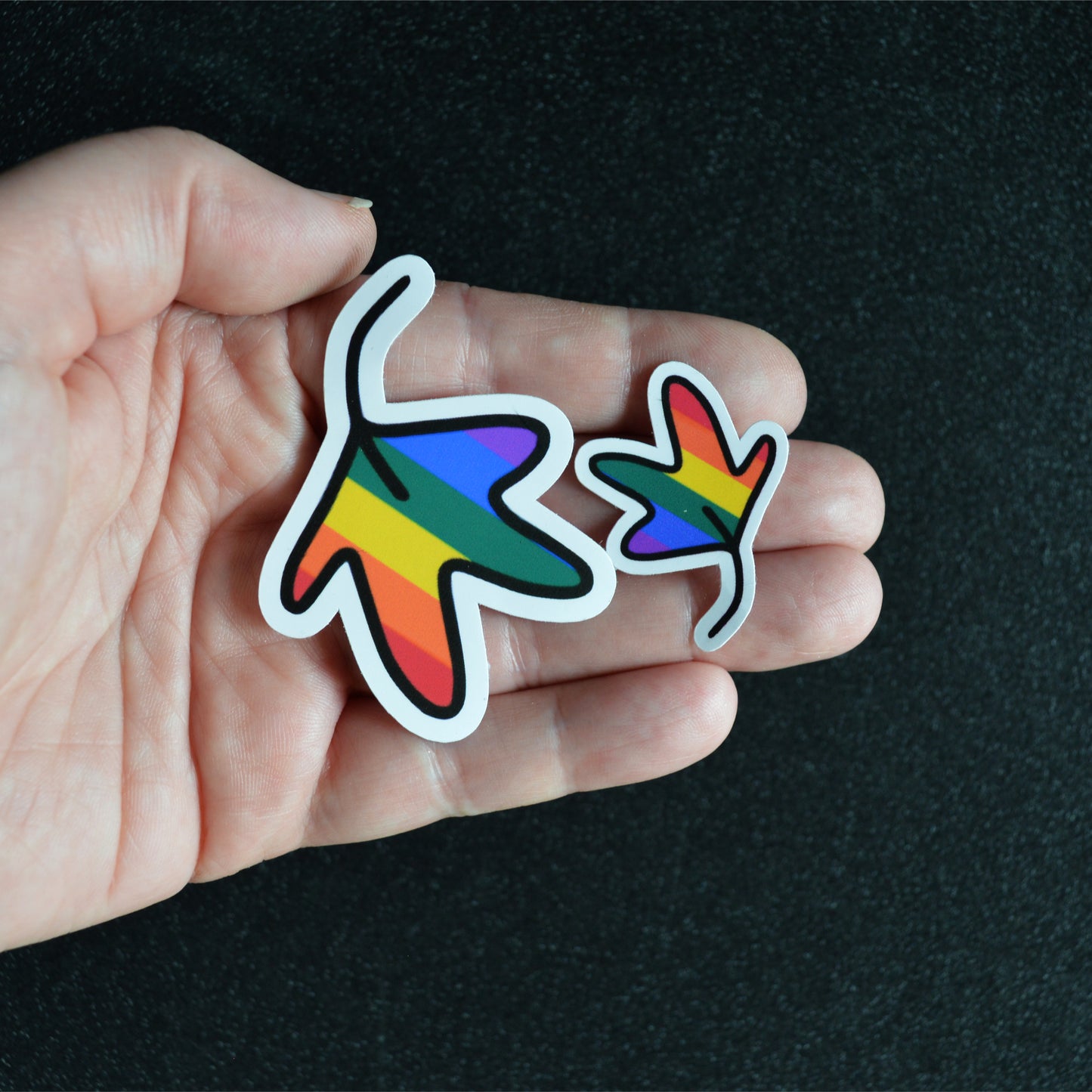 Vinyl Stickers | Pride Flag 6-pack Matte Stickers  - Celebrate Love & Inclusivity!